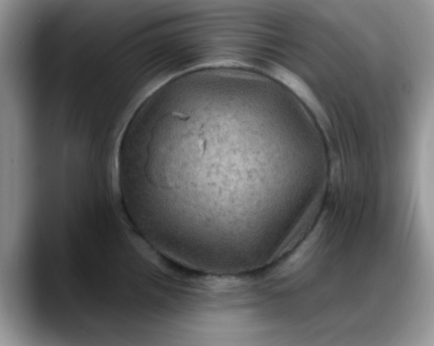 X0000088191242200705292006