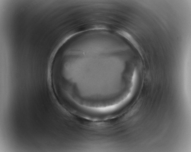 X0000088191243200705292006