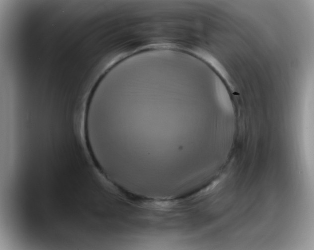 X0000088191245200705292006