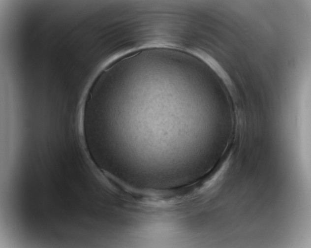 X0000088191246200705292006