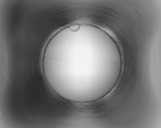 X0000088191248200705292006