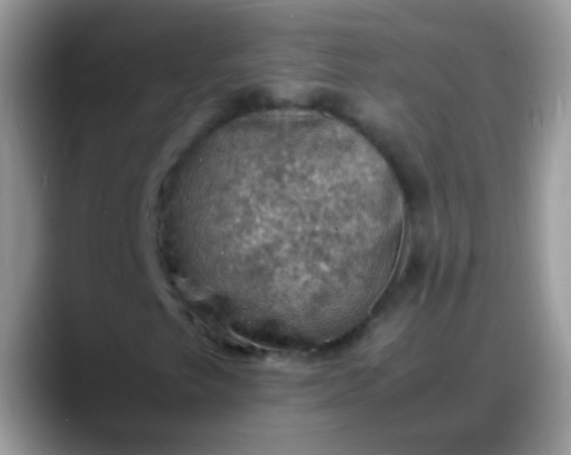 X0000088191249200705292005
