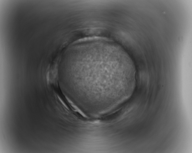 X0000088191250200705292005