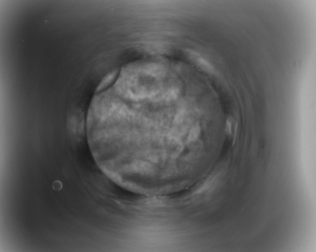 X0000088191251200705292005