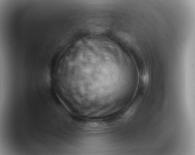 X0000088191252200705292005