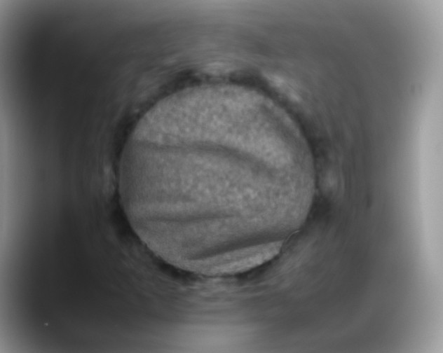 X0000088191253200705292005