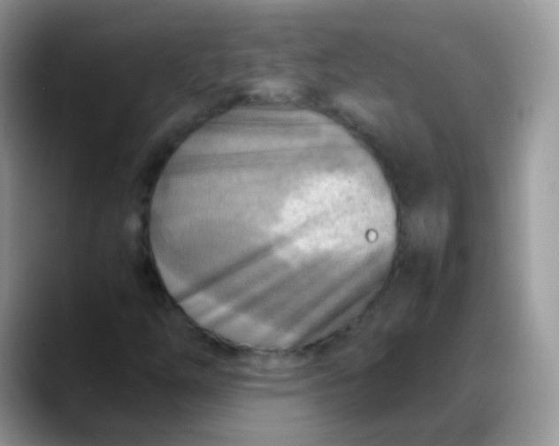 X0000088191254200705292005