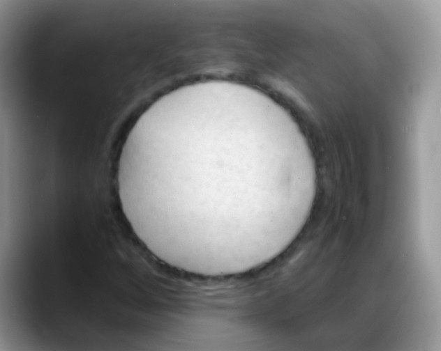 X0000088191256200705292005