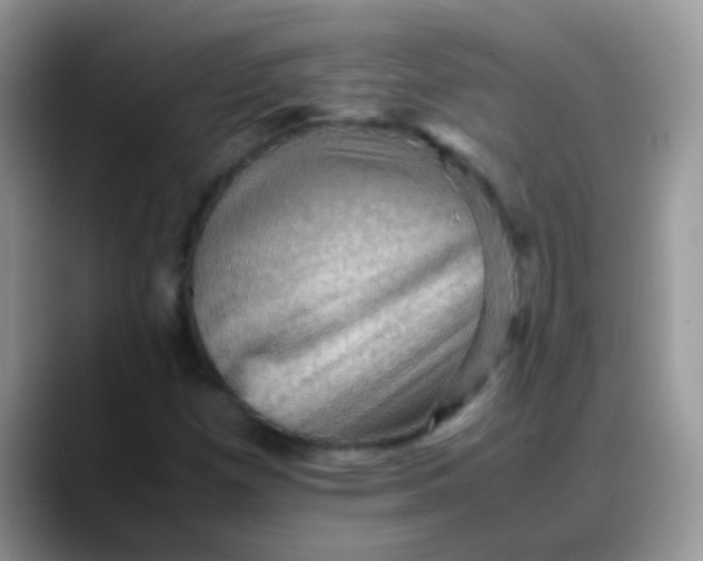 X0000088191257200705292005