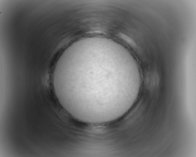X0000088191258200705292005