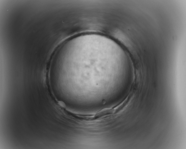 X0000088191260200705292005