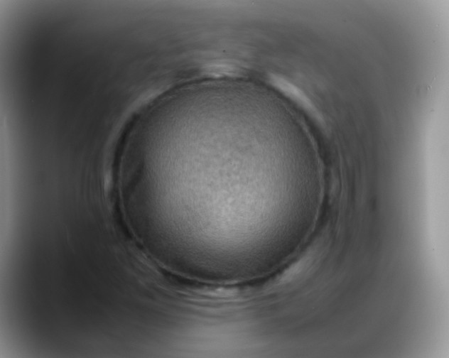 X0000088191261200705292005