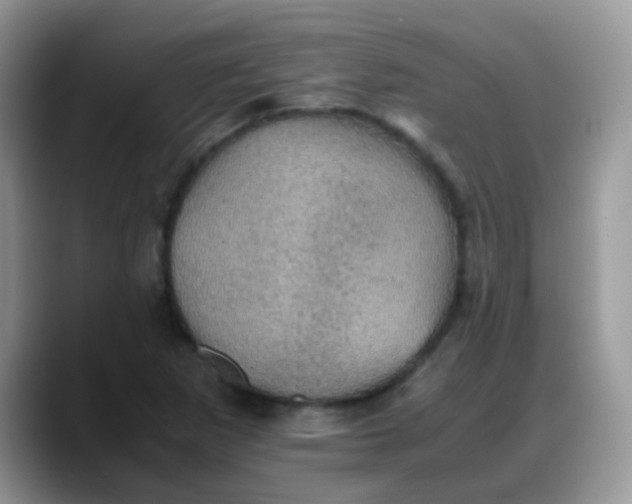 X0000088191265200705292005