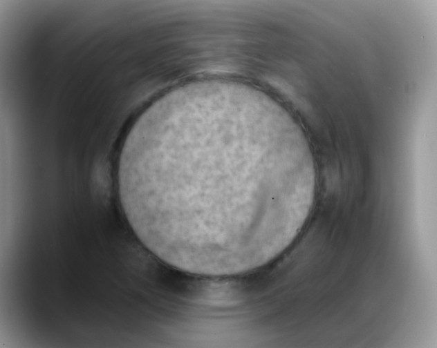 X0000088191266200705292005
