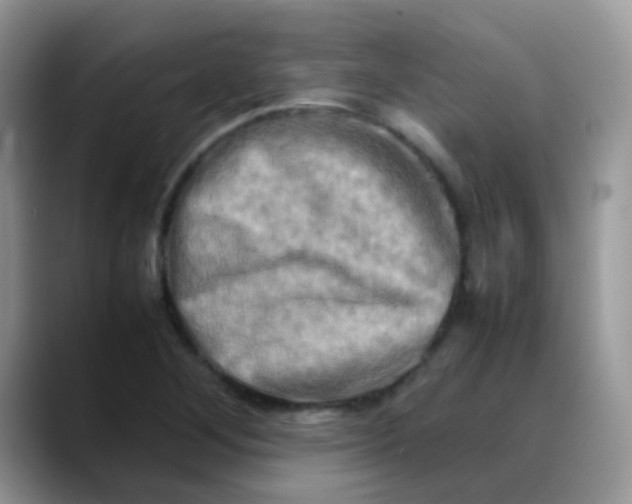 X0000088191268200705292005