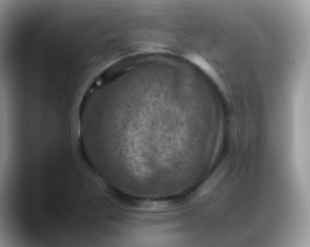 X0000088191269200705292005