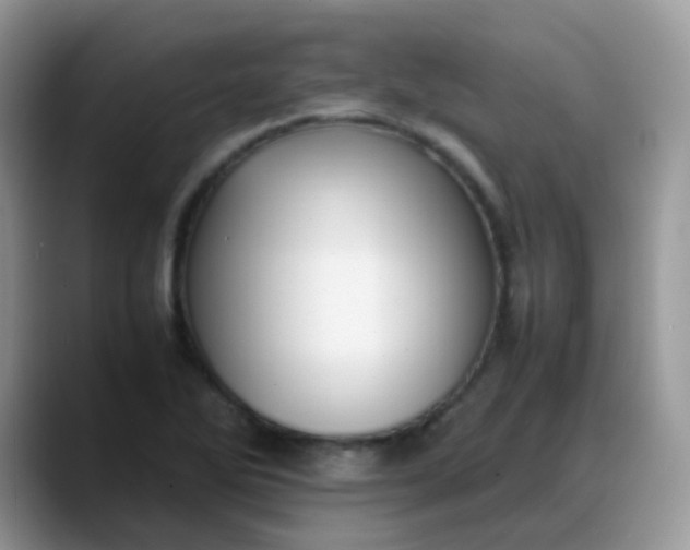 X0000088191270200705292005