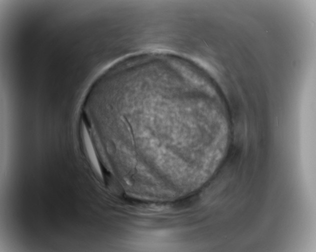 X0000088191271200705292005