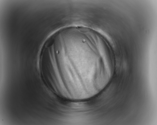X0000088191272200705292005