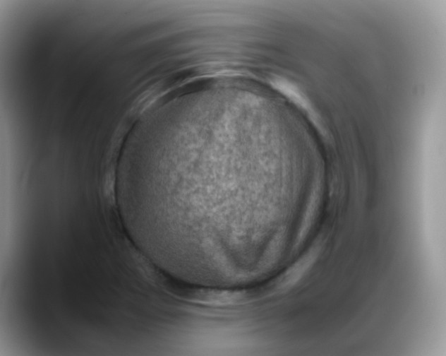 X0000088191273200705292005
