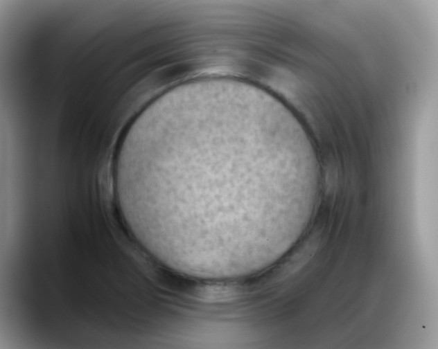 X0000088191274200705292005