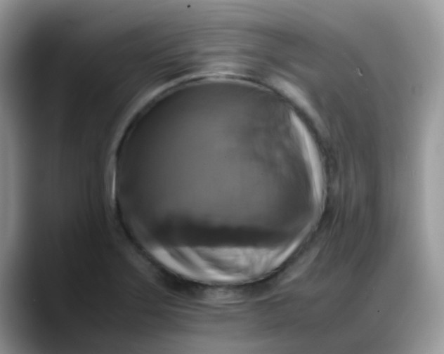 X0000088191275200705292005