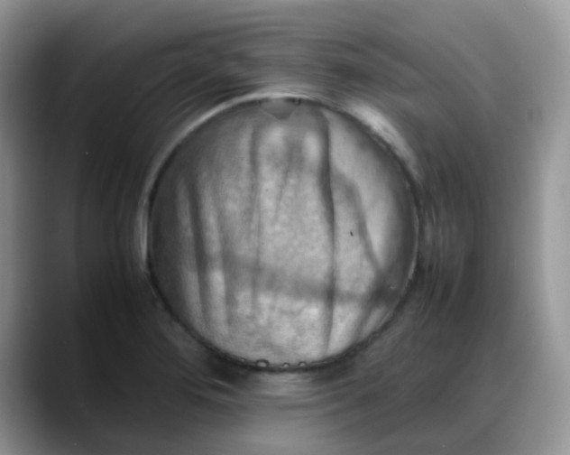 X0000088191276200705292005