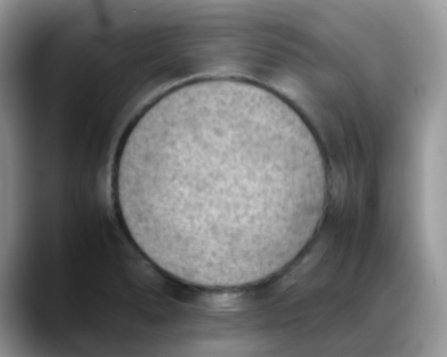 X0000088191278200705292005