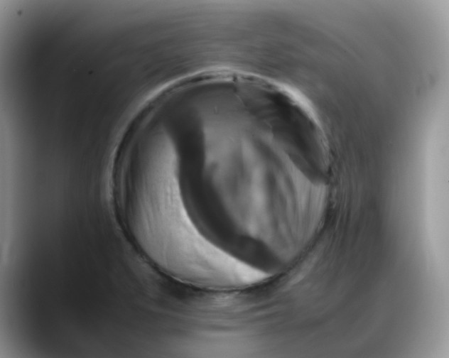X0000088191279200705292005