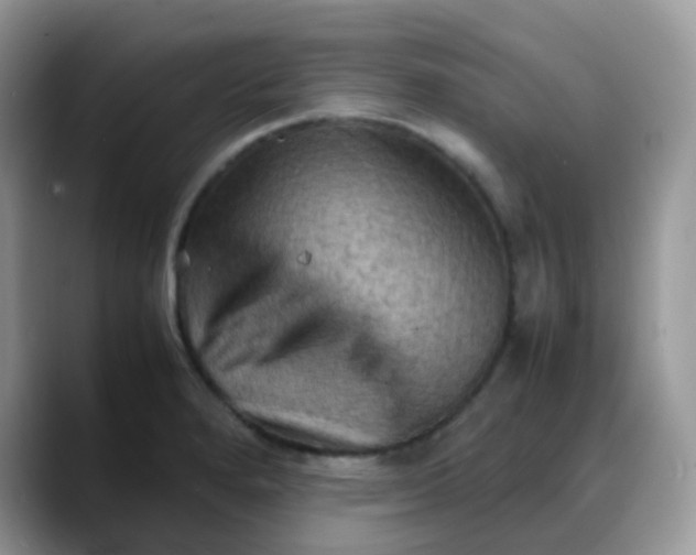 X0000088191280200705292005