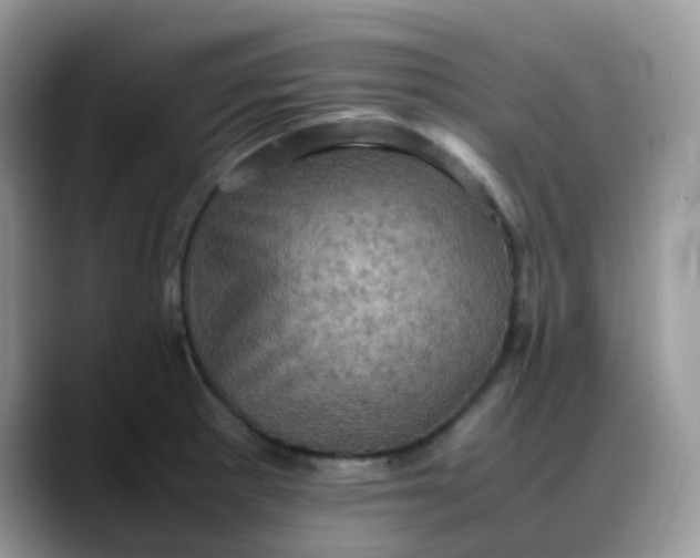 X0000088191281200705292005
