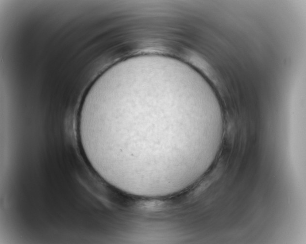 X0000088191282200705292005