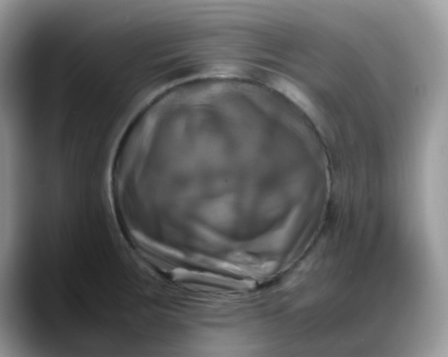 X0000088191283200705292005