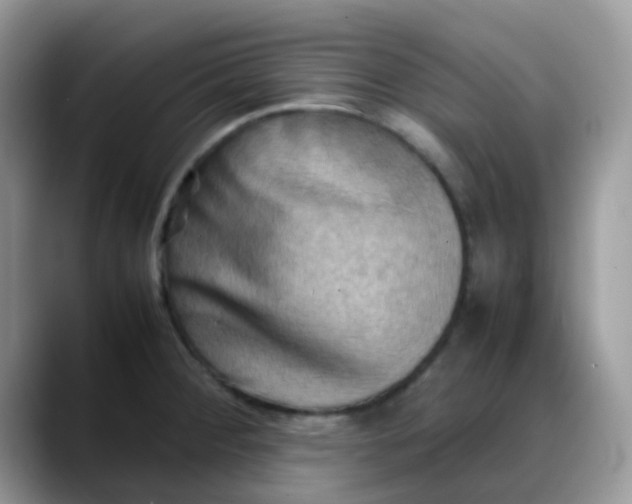 X0000088191284200705292005