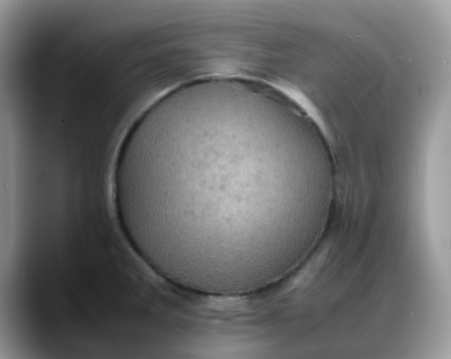 X0000088191285200705292005