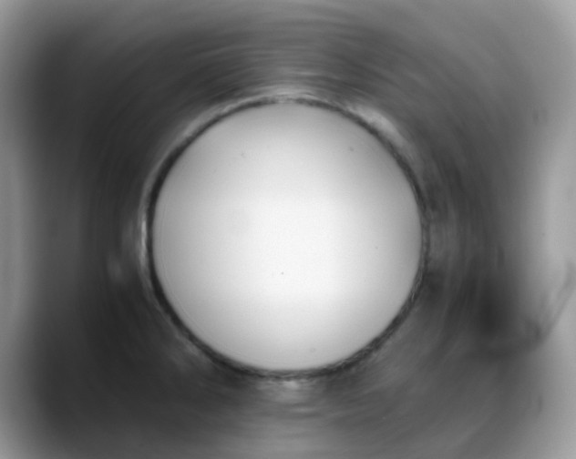 X0000088191286200705292005