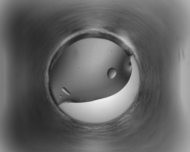 X0000088191287200705292004