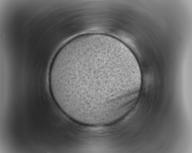 X0000088191288200705292004