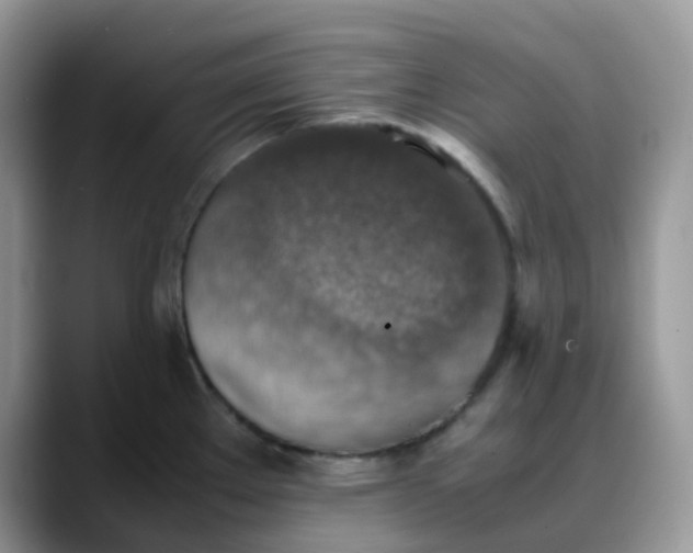 X0000088191289200705292004
