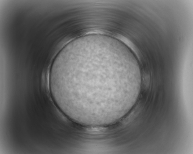 X0000088191290200705292004