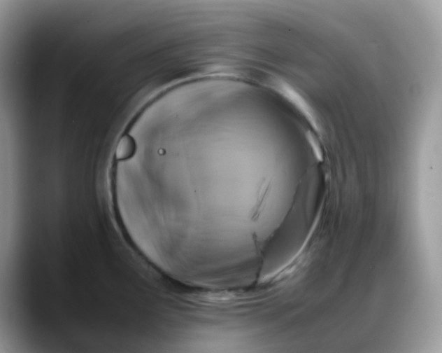 X0000088191291200705292004