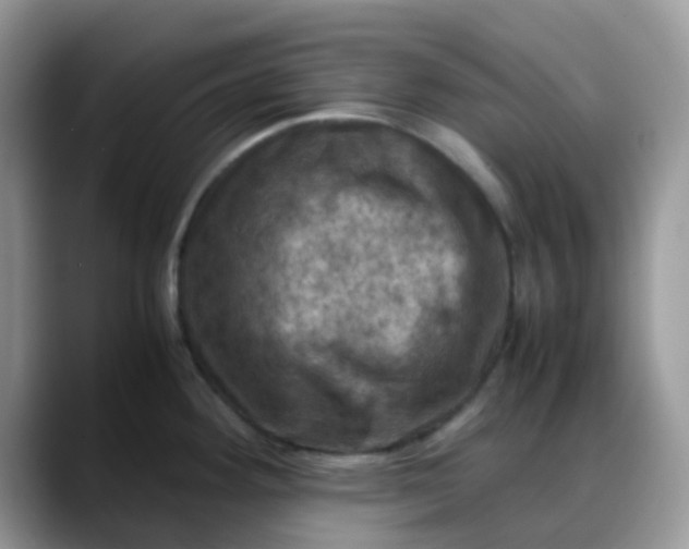 X0000088191292200705292004