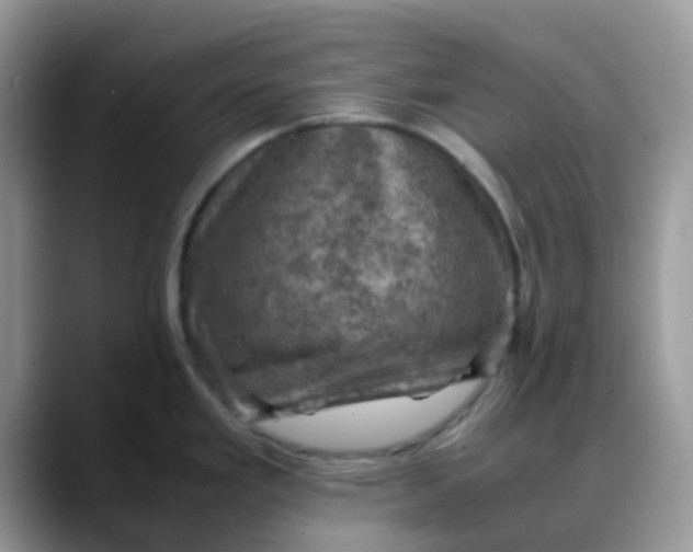 X0000088191293200705292004