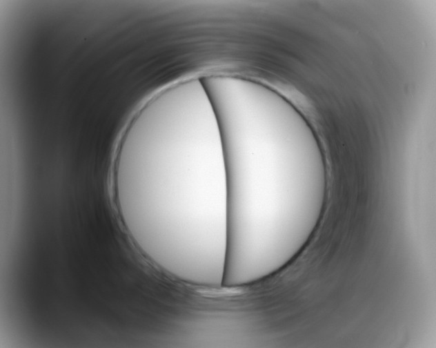 X0000088191296200705292004