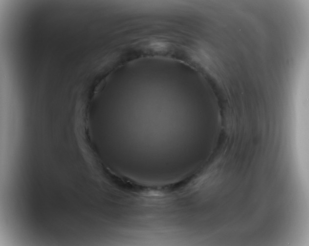 X0000088191297200705292004