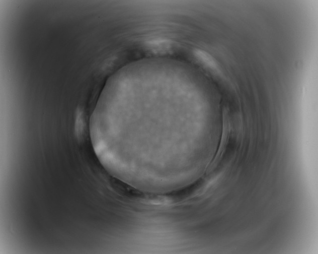 X0000088191298200705292004