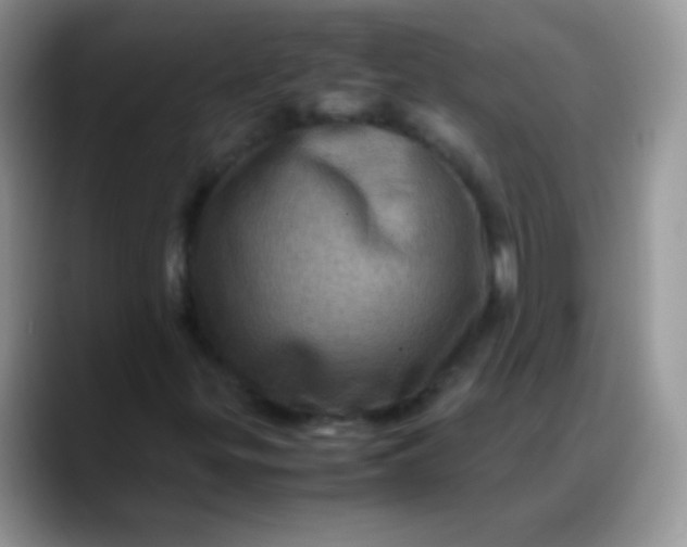 X0000088191299200705292004