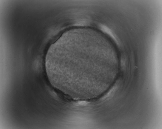 X0000088191304200705292004