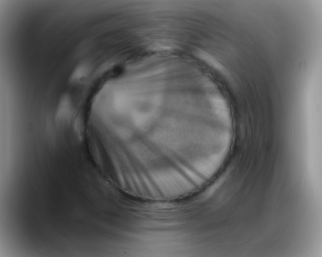 X0000088191306200705292004