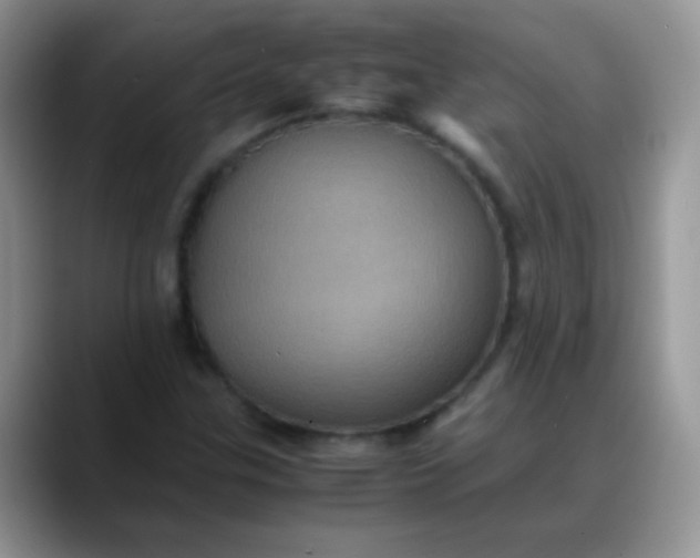X0000088191307200705292004